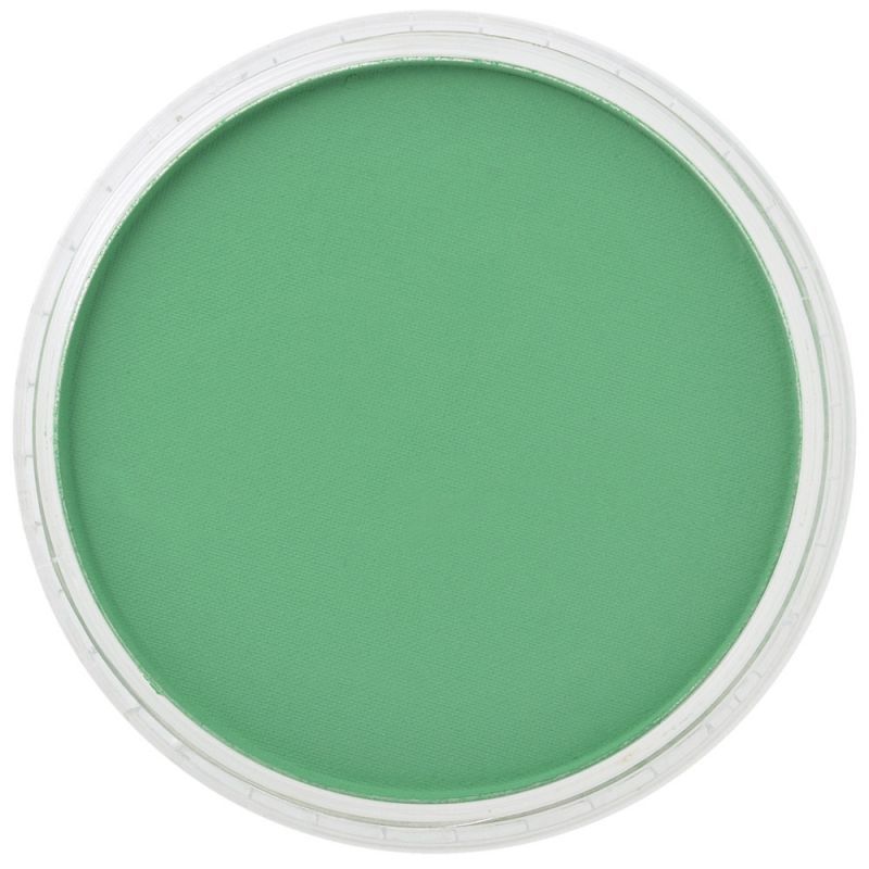PanPastel 640.5 Permanent Green
