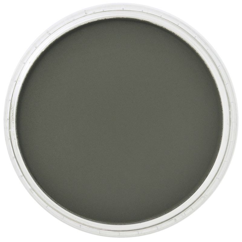 PanPastel 660.1 Chromium Oxide Green Extra Dark
