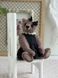 Celeste Miniature Lavender Bear