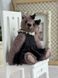 Celeste Miniature Lavender Bear