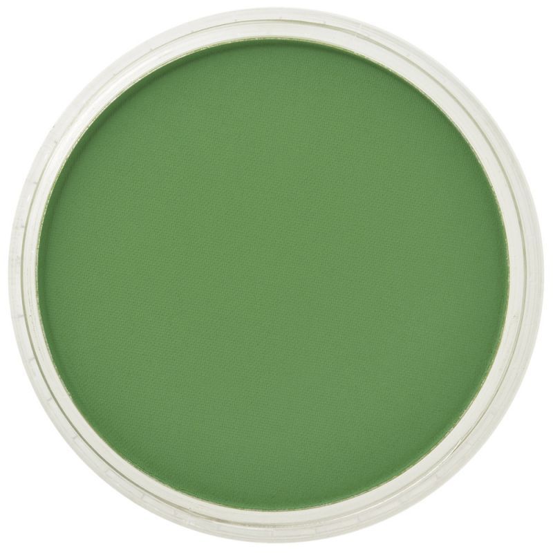 PanPastel 660.5 Chromium Oxide Green