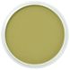 PanPastel 680.3 Bright Yellow Green Shade