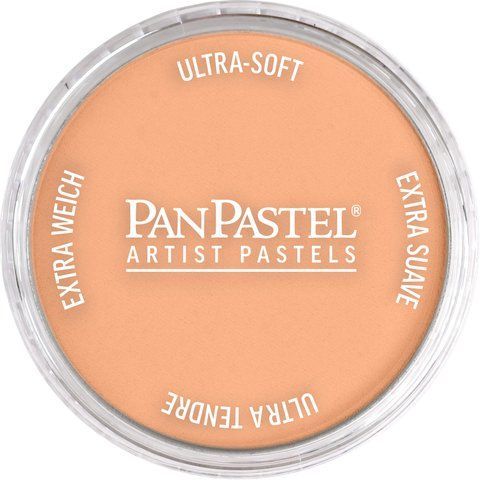 PanPastel 740.7 Burnt Sienna Light &mdash; фото в Let's Make Dolls