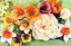 PanPastel 30115 Susan's Garden Flower Coloring Kit No. 1 (10 Кольорів)